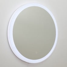Round Bathroom Wall Mirror with Tri-Coloured LED